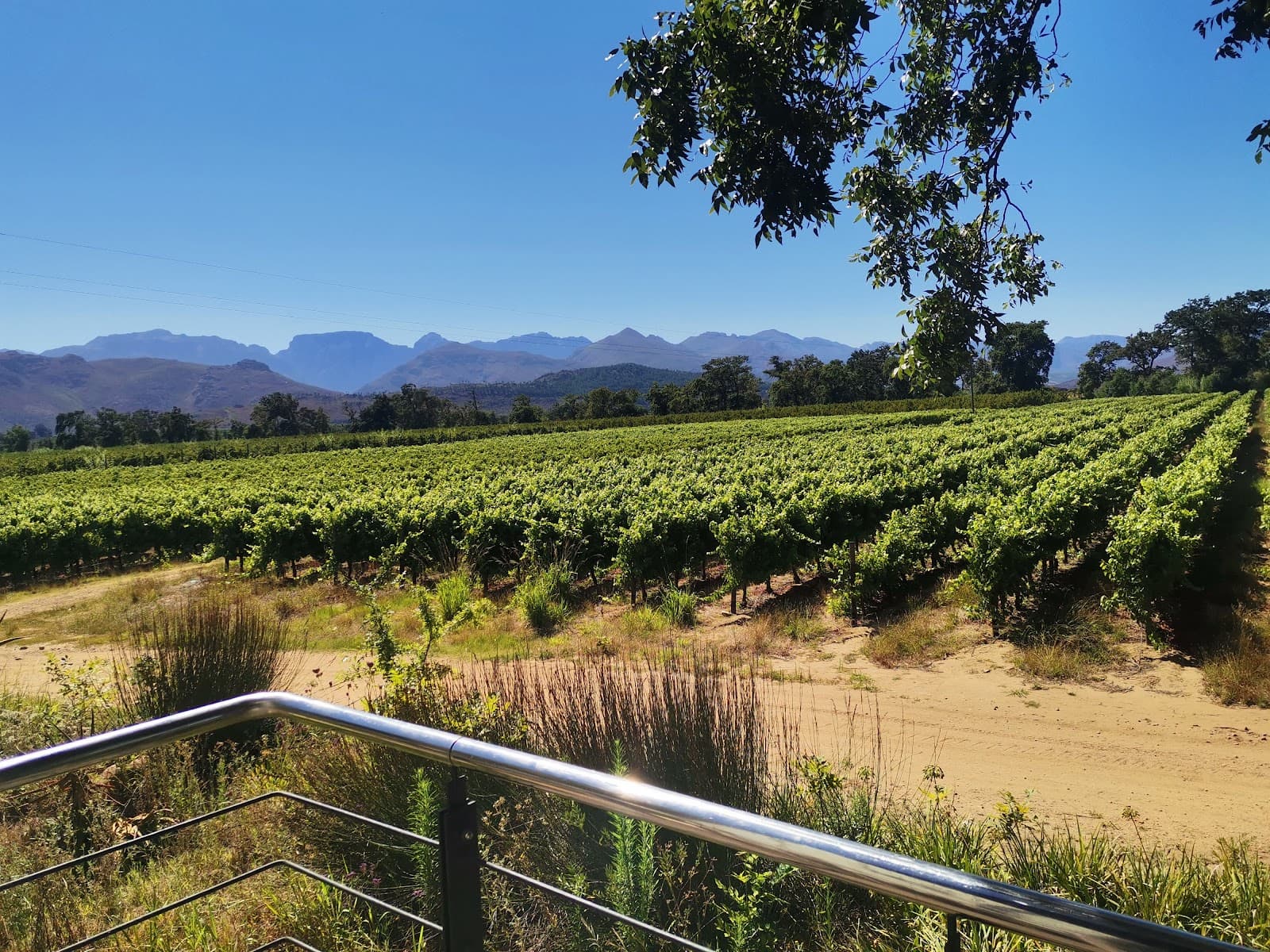 Allée Bleue Wine Estate
