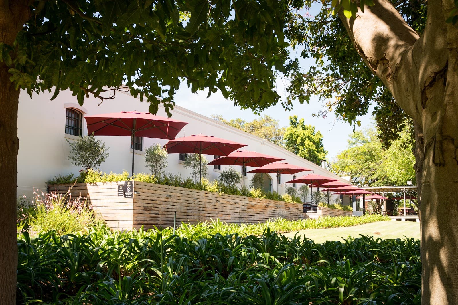 Alto Wine Estate