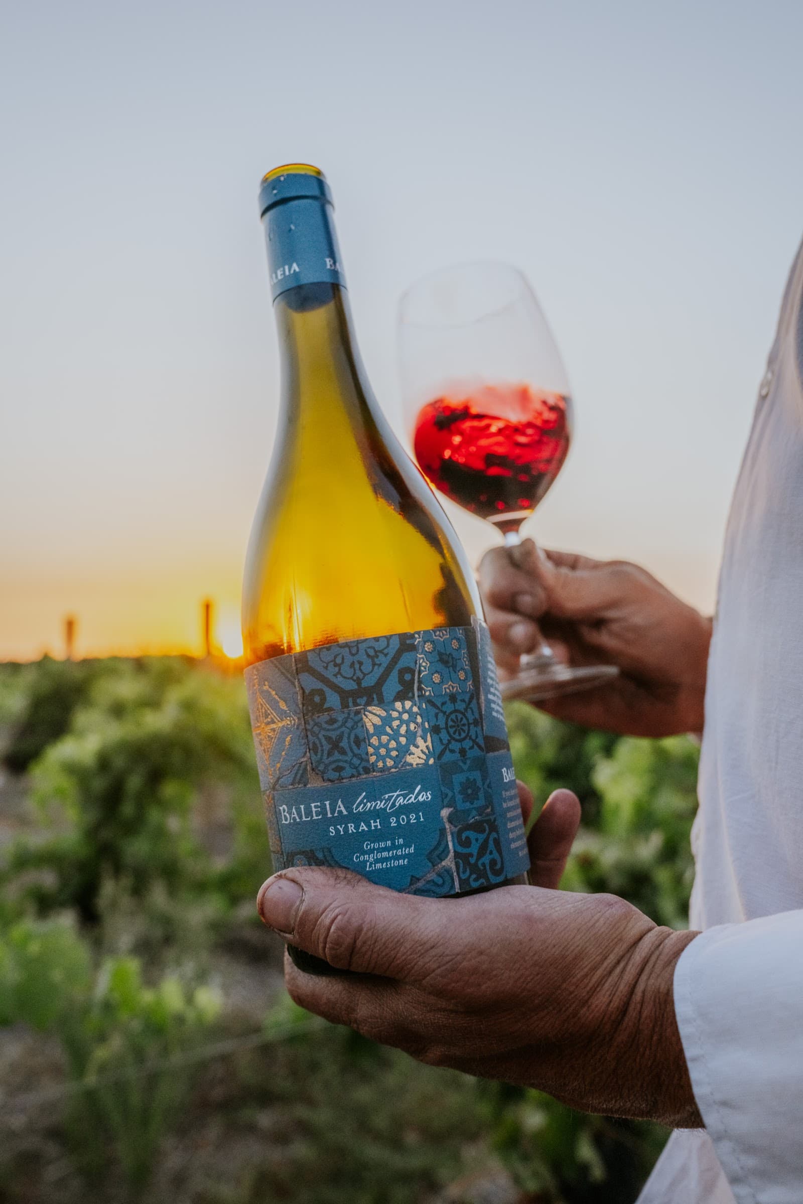 Baleia Wines & Olive oil