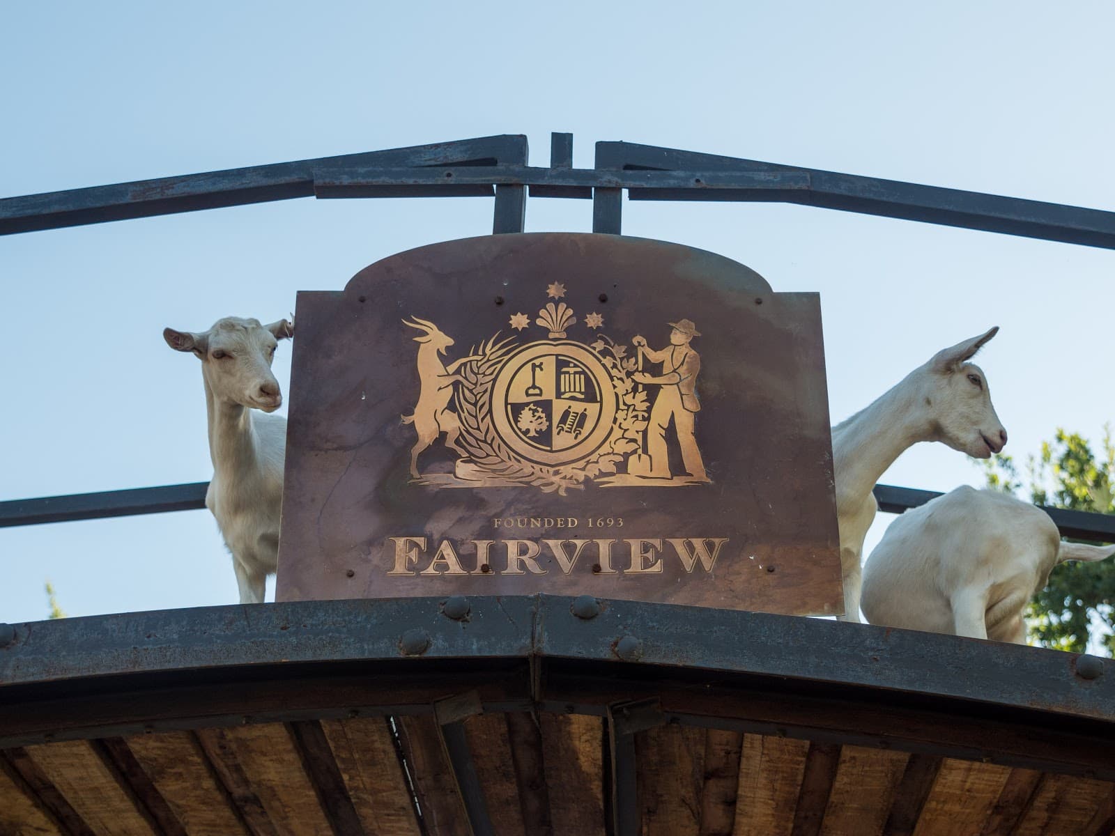 Fairview Wine and Cheese