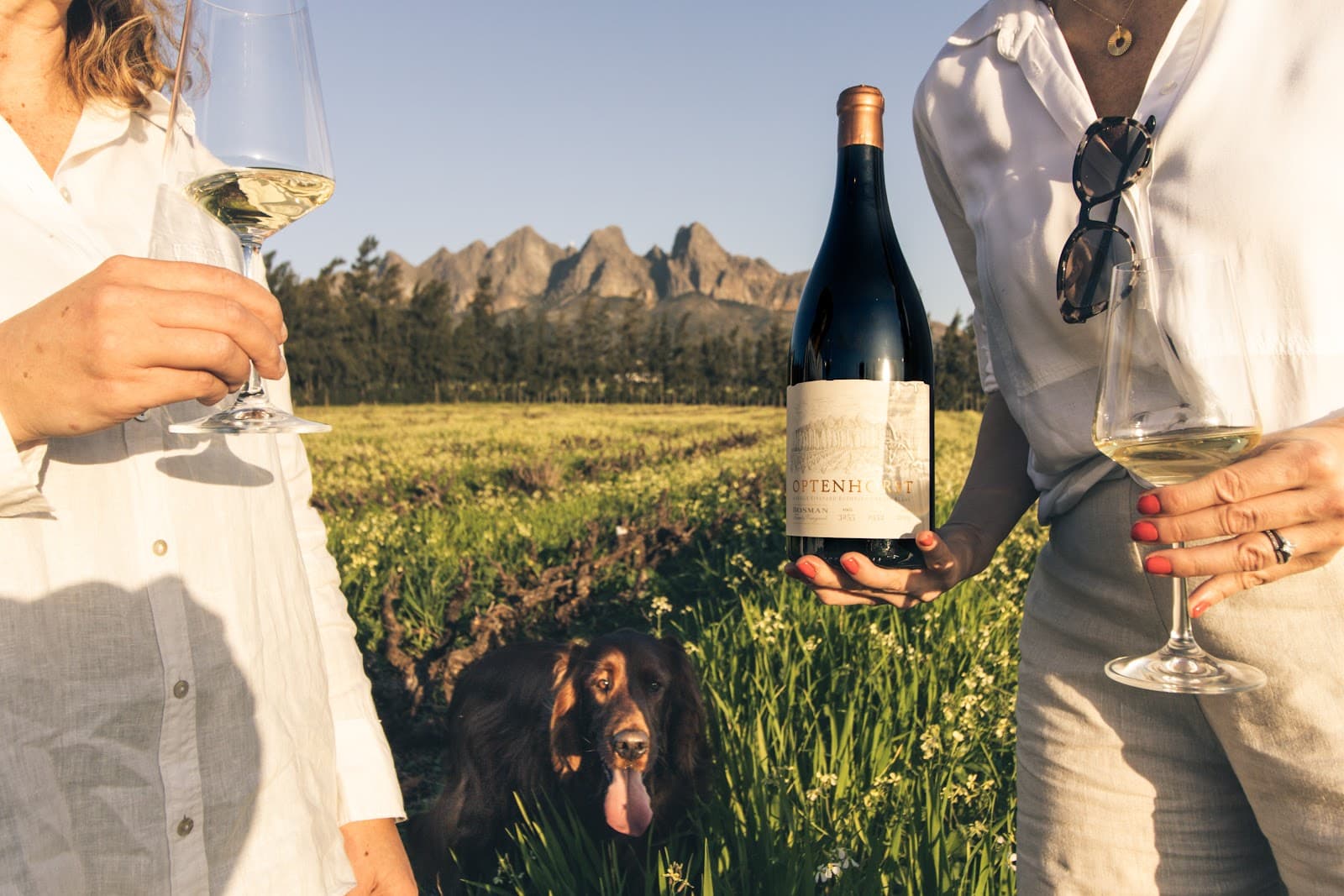 Bosman Family Vineyards