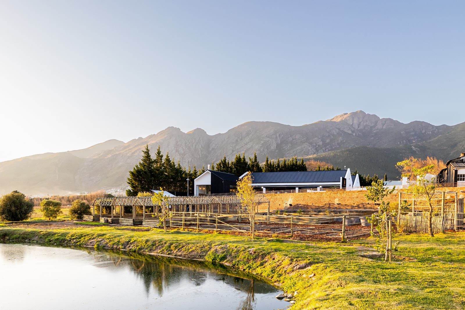 Backsberg Family Wines