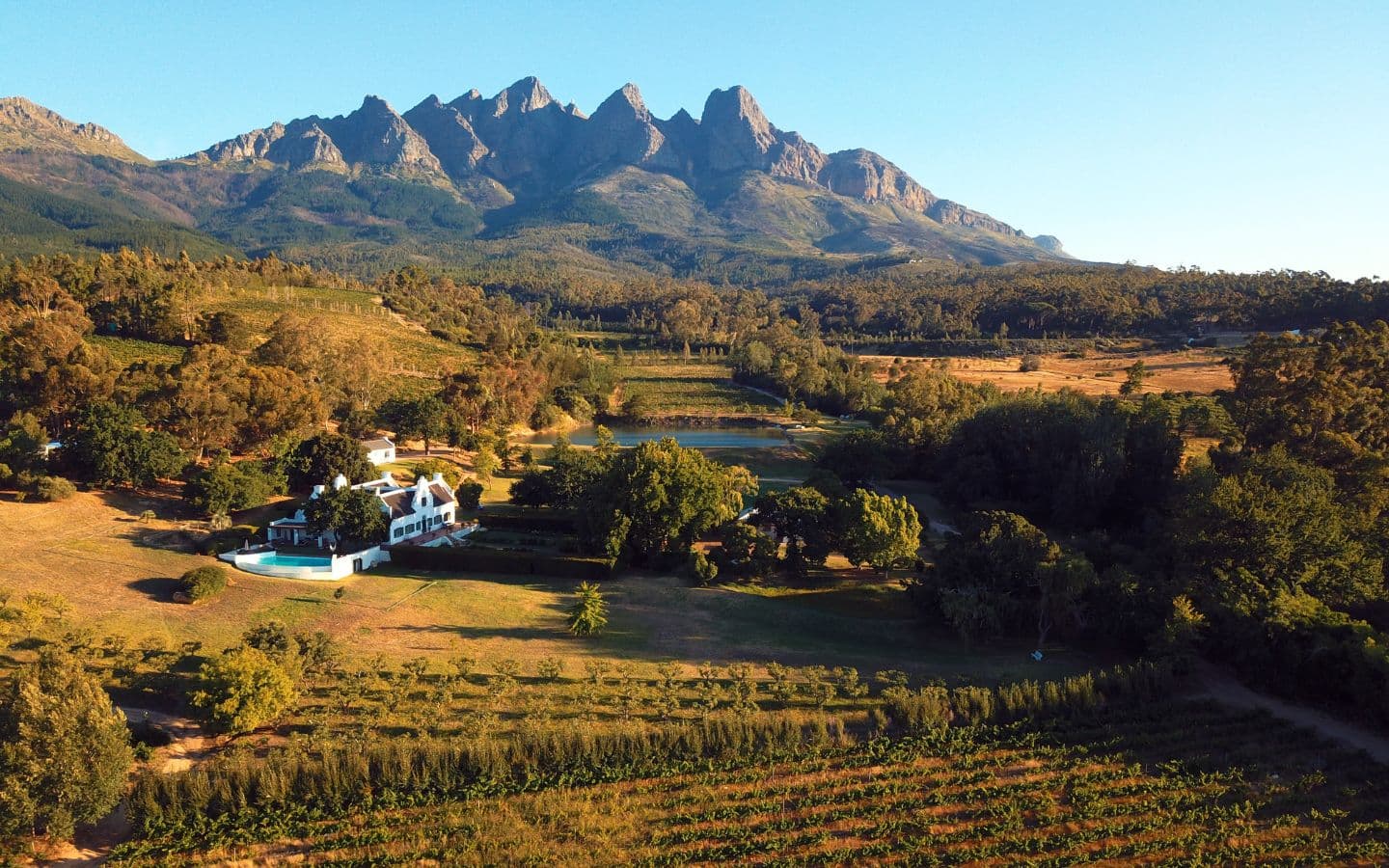 Canetsfontein Wine, Olives, Fruit and Vegetable estate