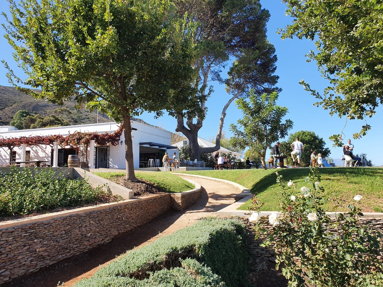 Cape Wine Crafters
