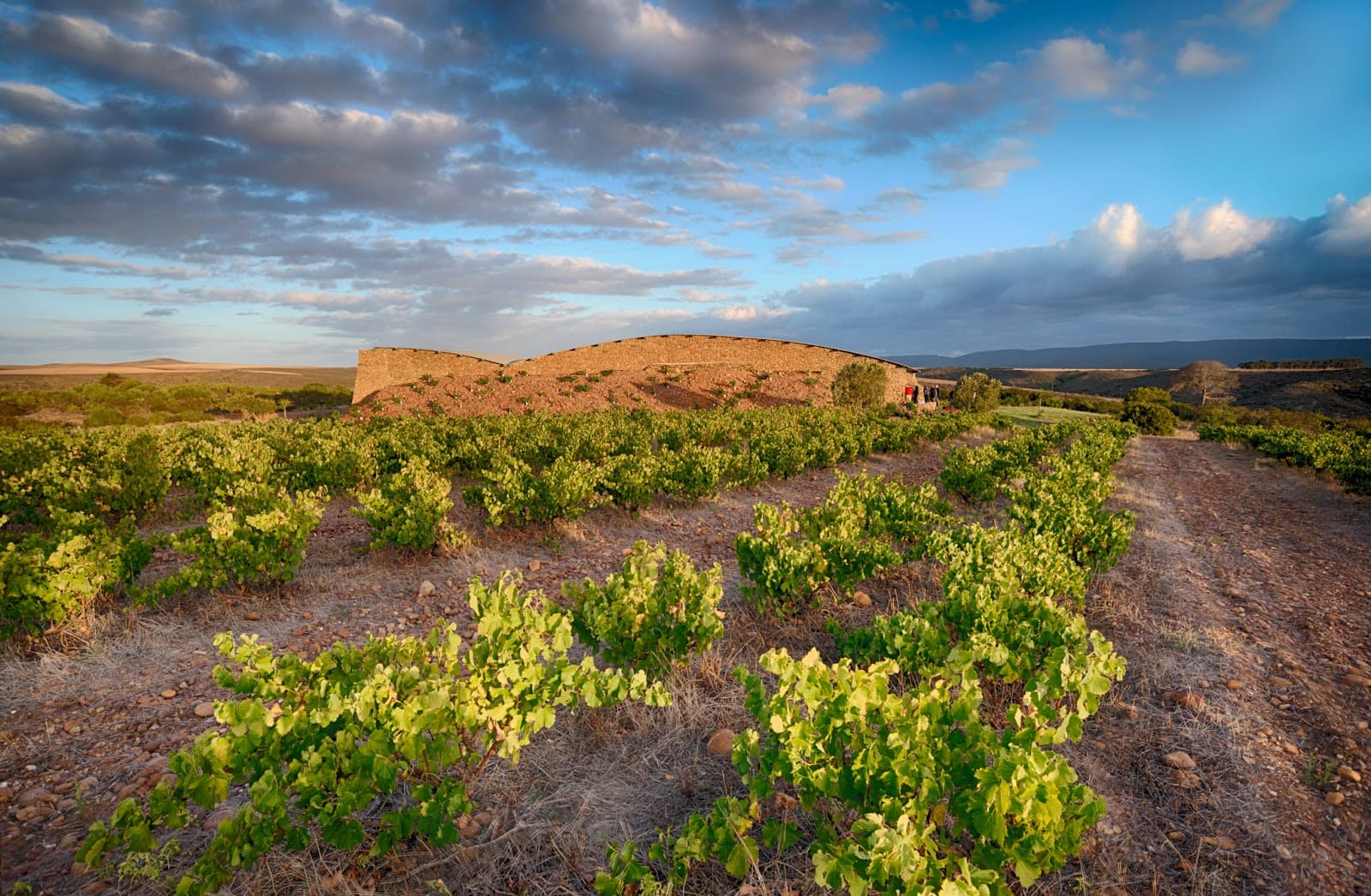 Sijnn Wines