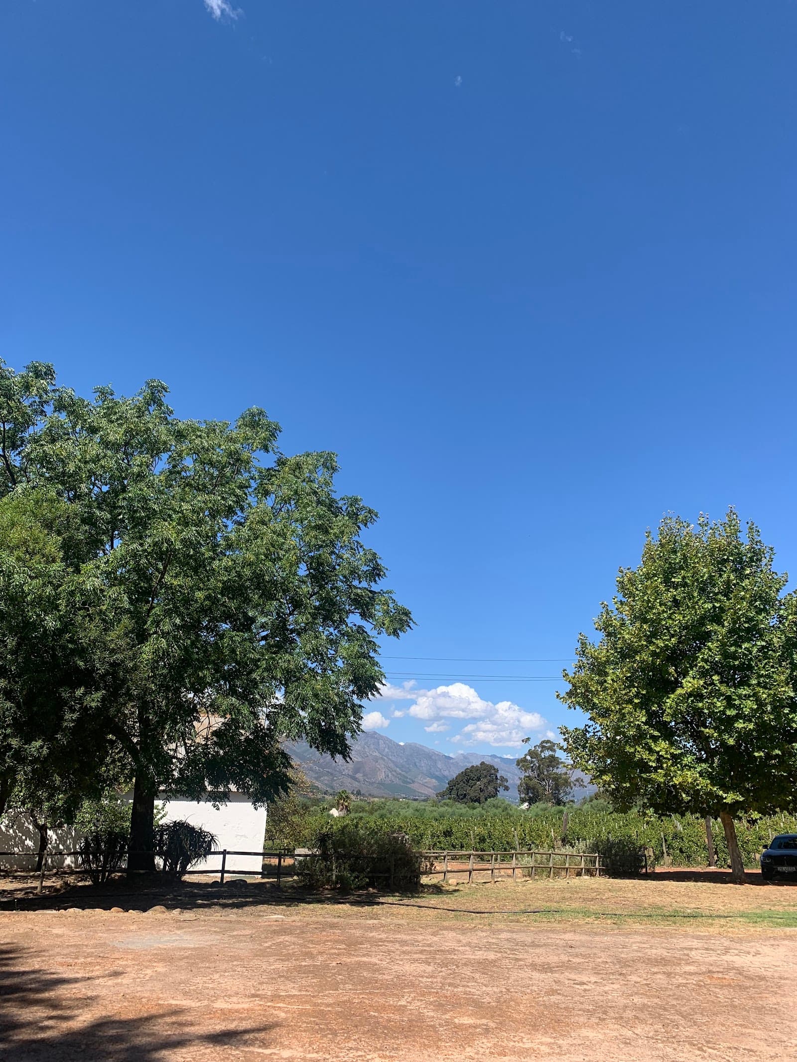 Solms Delta Wine Estate