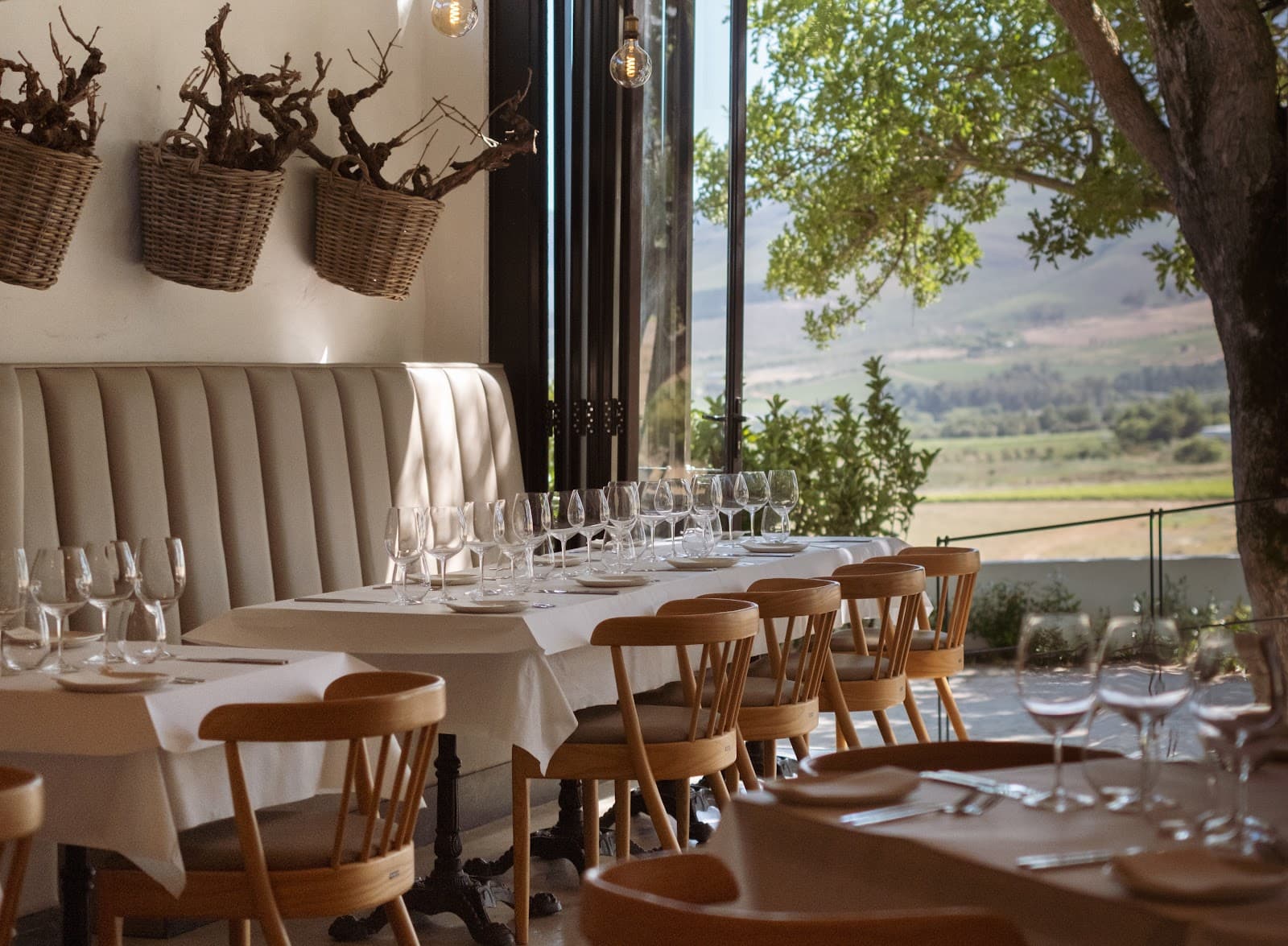 Stellenbosch Reserve