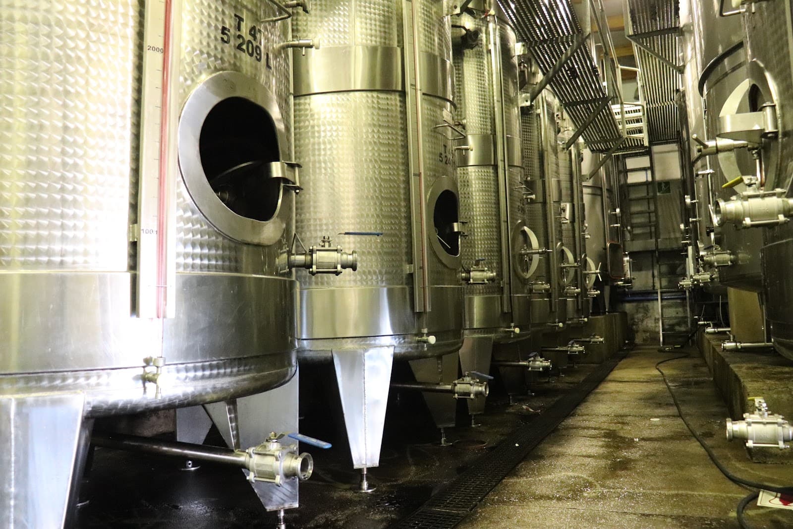 Cloof Wine Estate