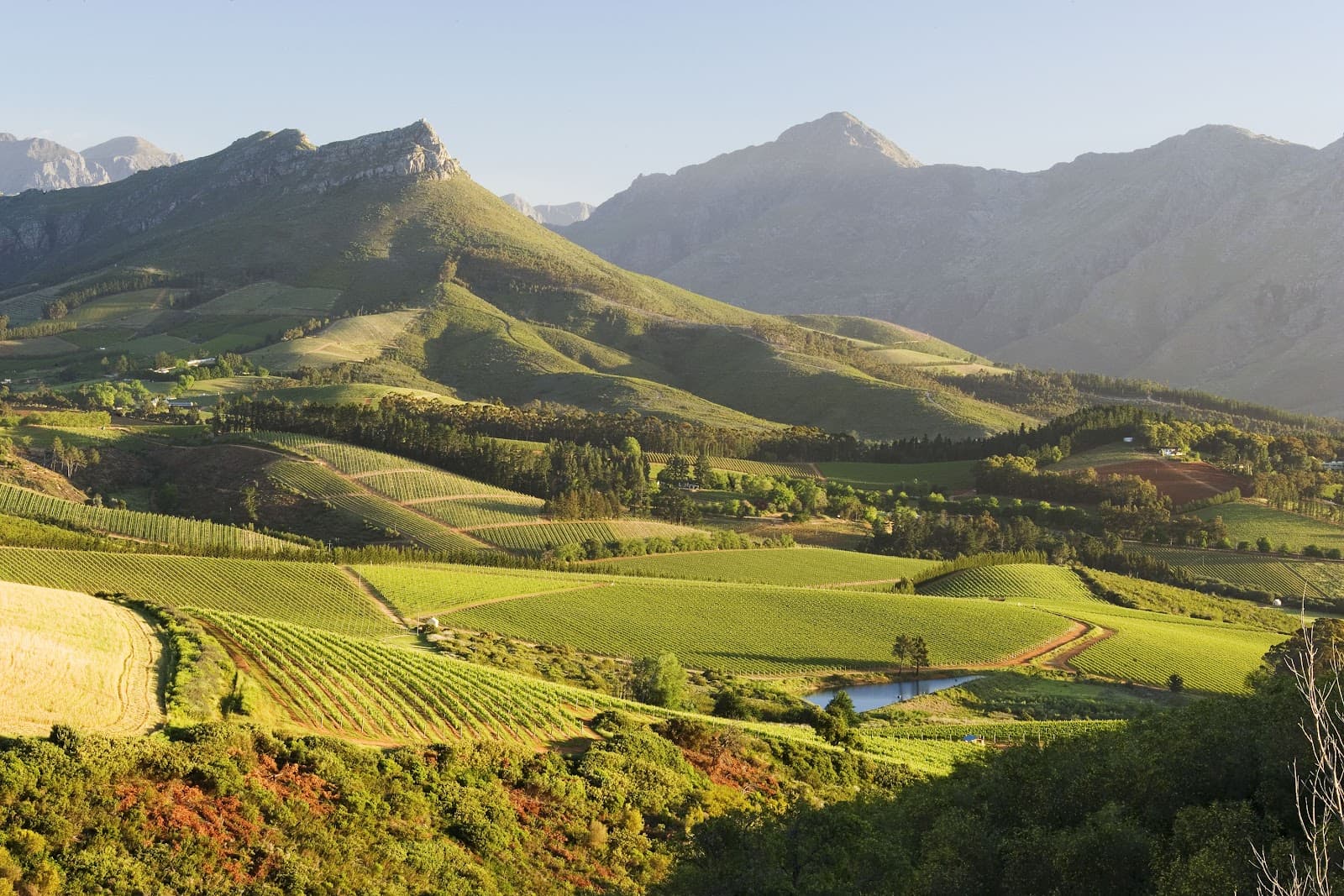 Rustenberg Estate