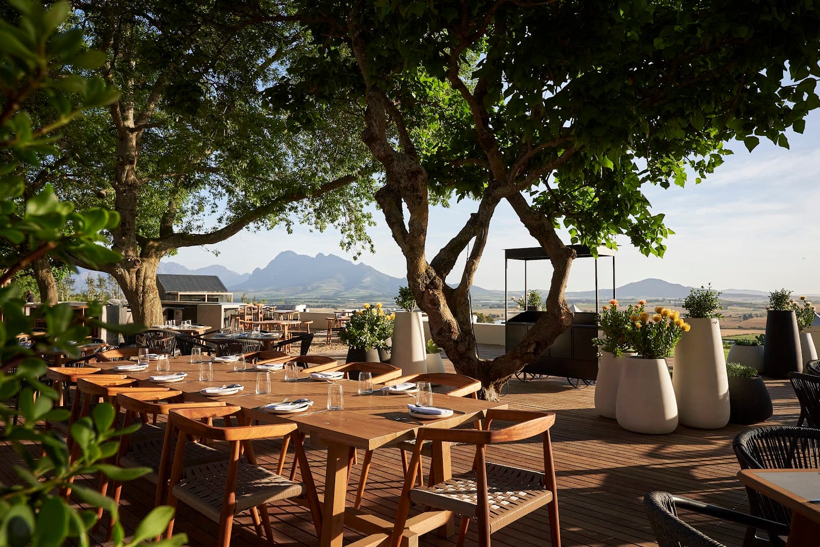 Vondeling Wines