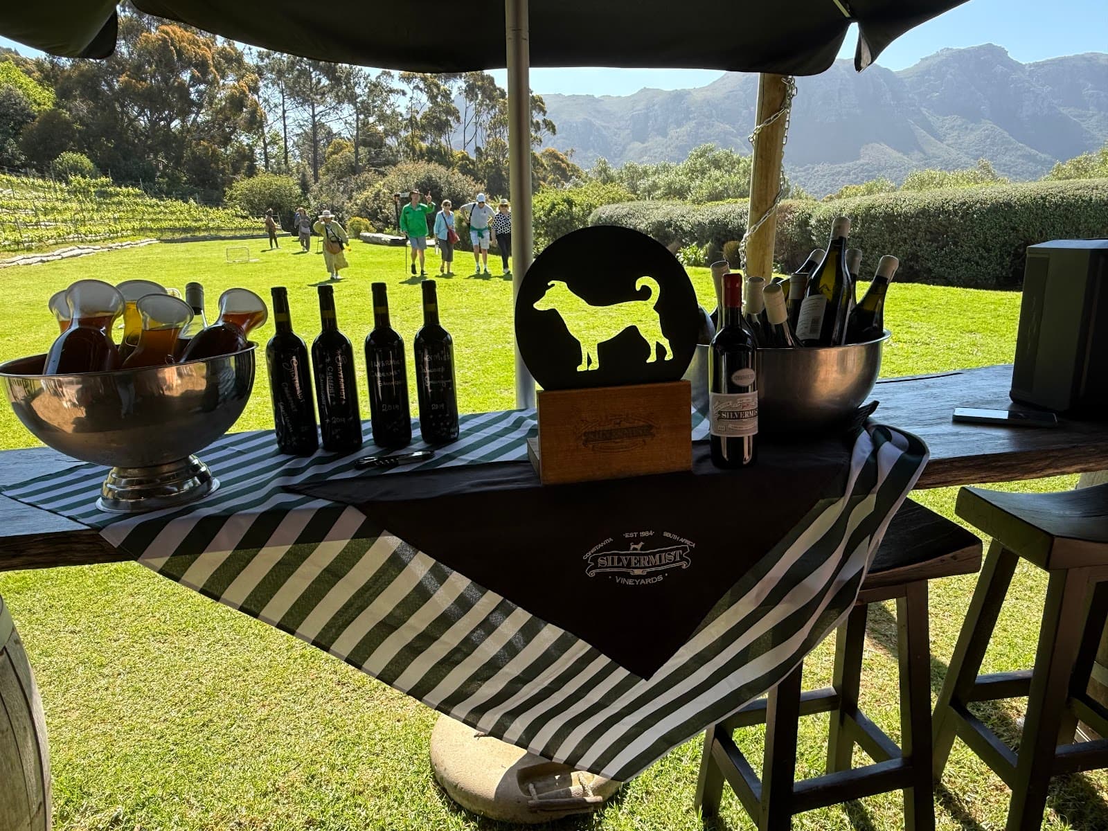 Silvermist Organic Wine Estate