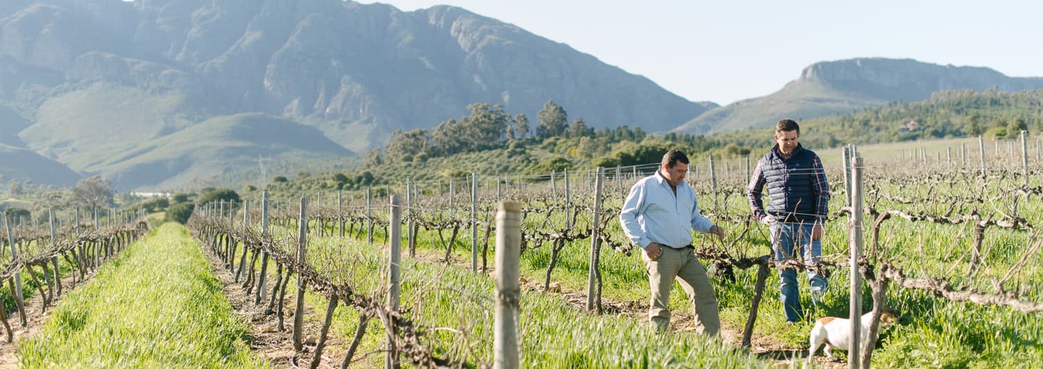 Imbuko Wines