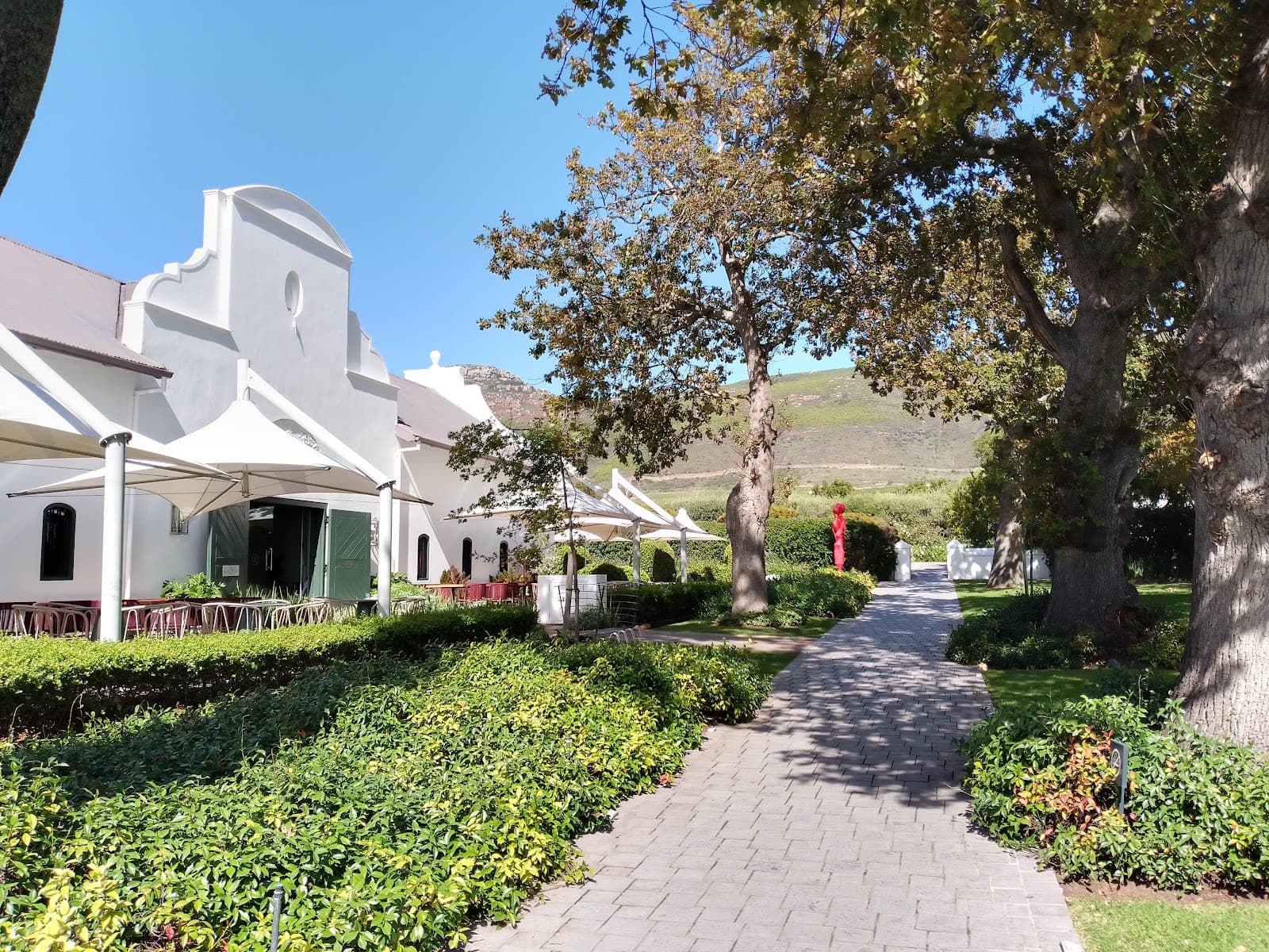 Steenberg Vineyards