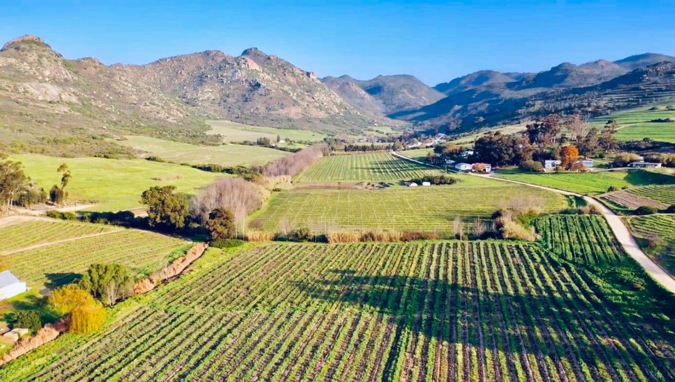 Swerwerwines