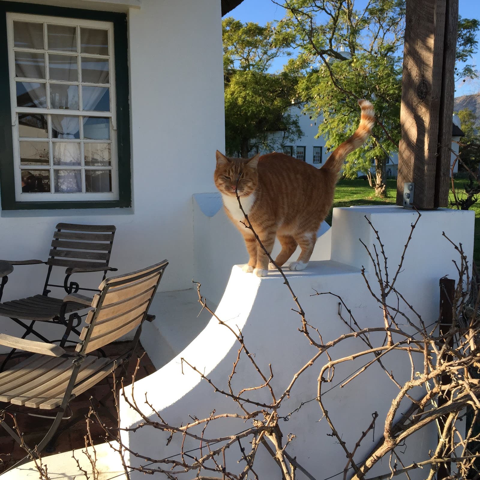 Jacaranda Wine & Guest Farm