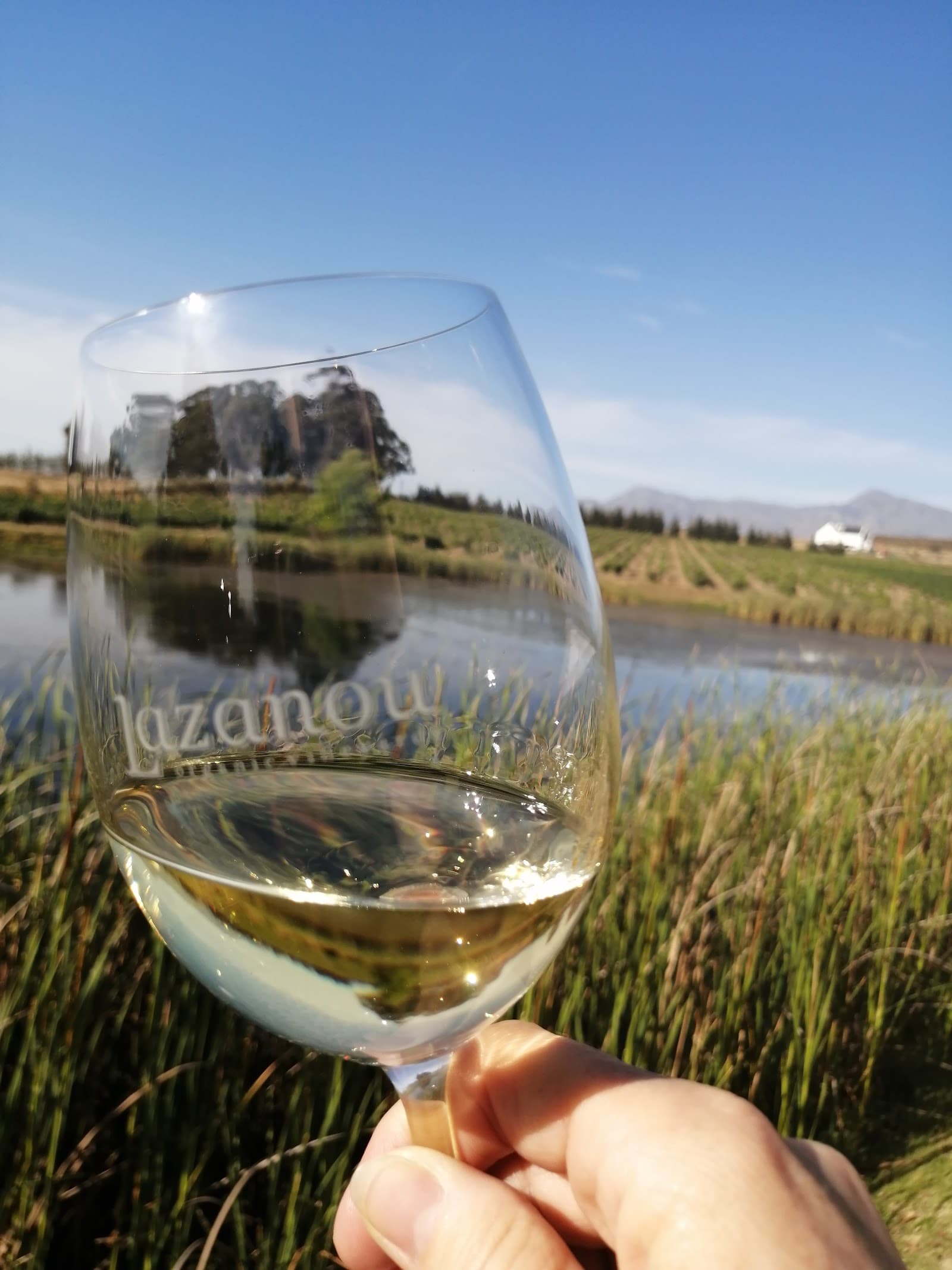 Lazanou Organic Vineyards - By appointement only