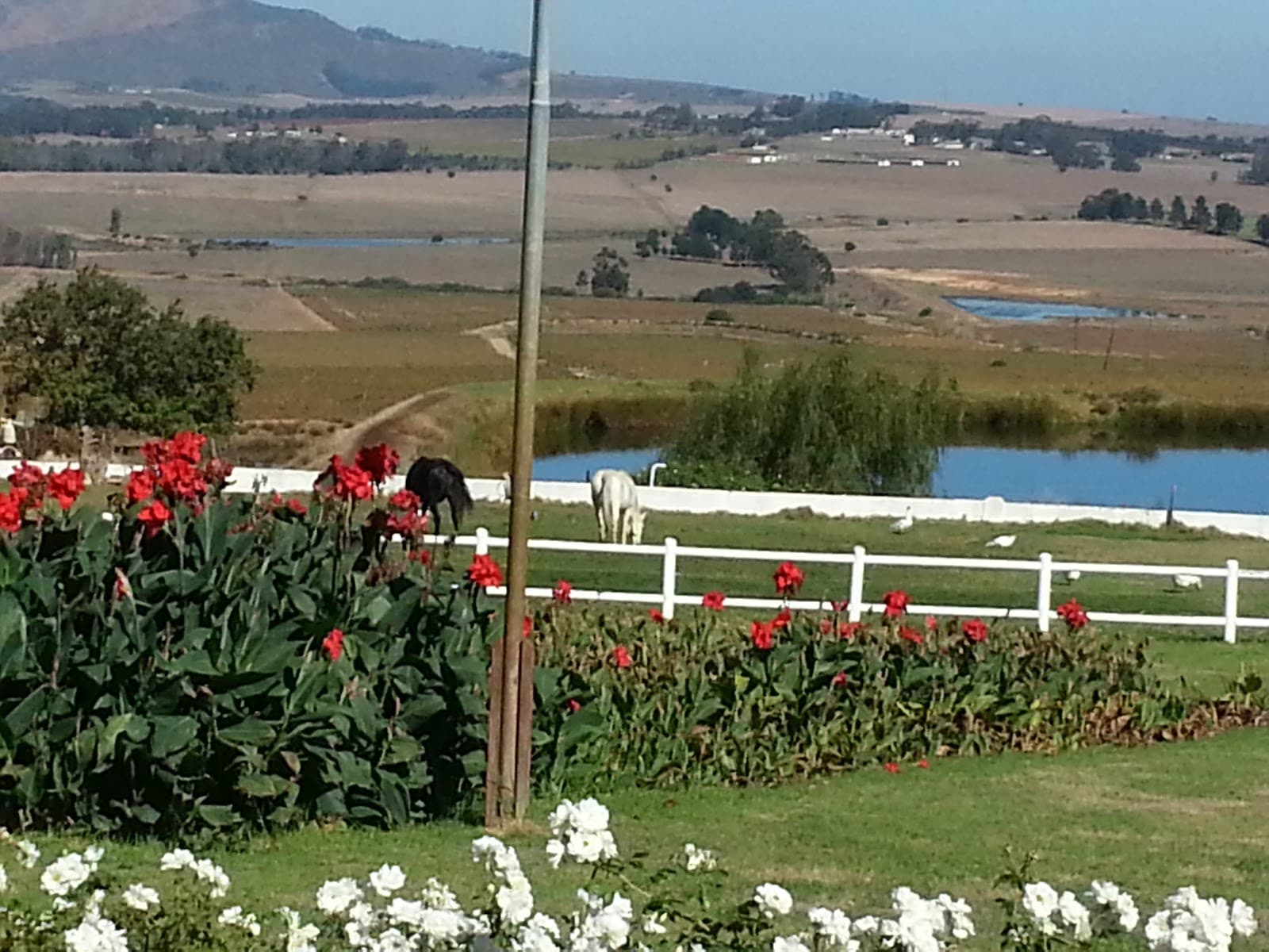 Landskroon Wines