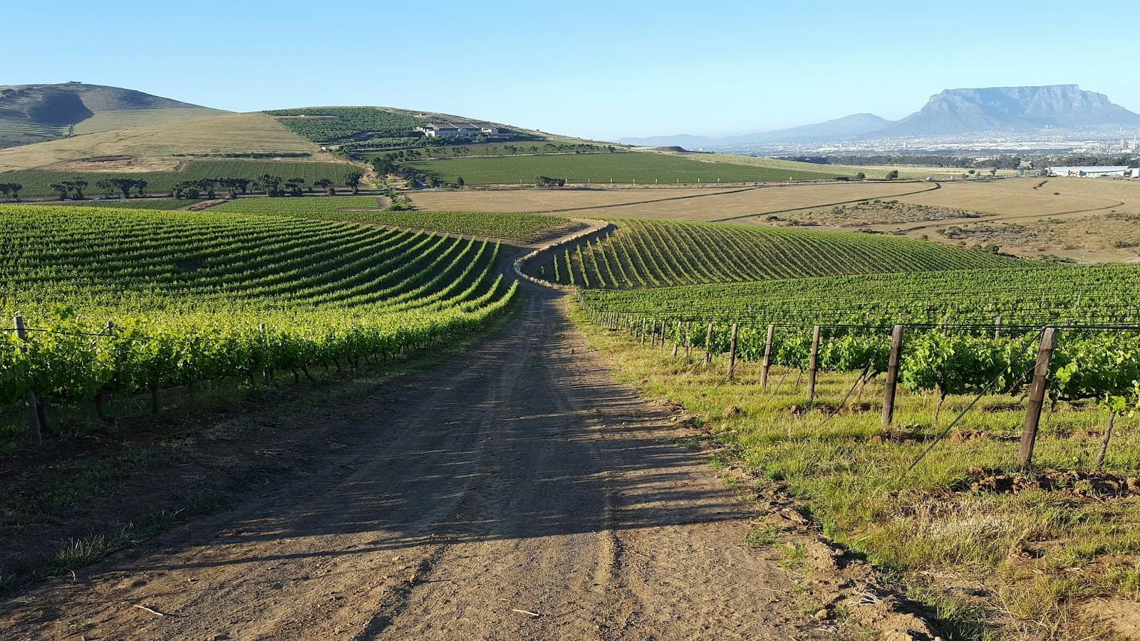Mellish Family Vineyards
