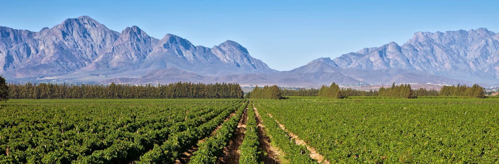 Merwida Winery