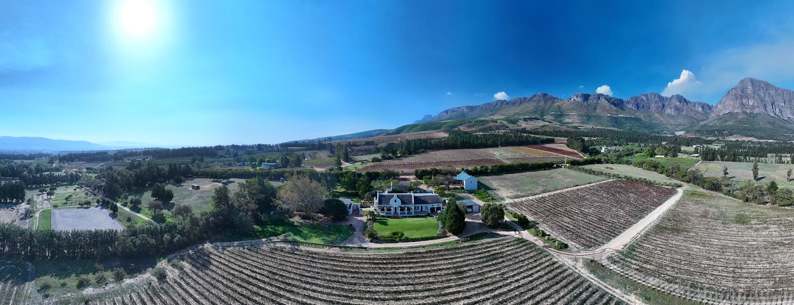 Olsen Private Vineyard