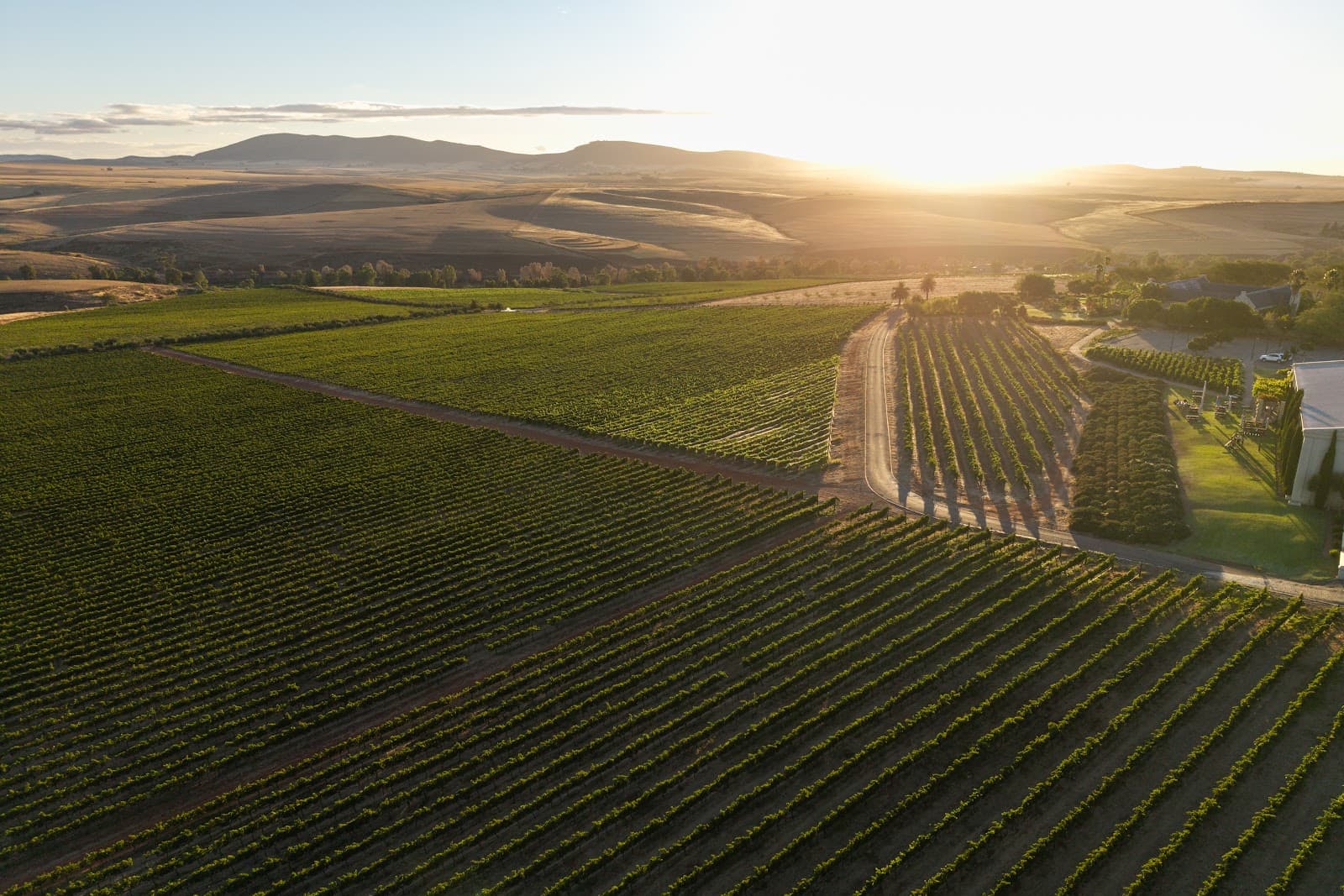 Org de Rac Organic Wine Estate